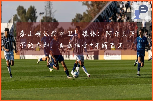 泰山确认新中卫！媒体：阿尔瓦罗签约在即，自由转会+年薪百万