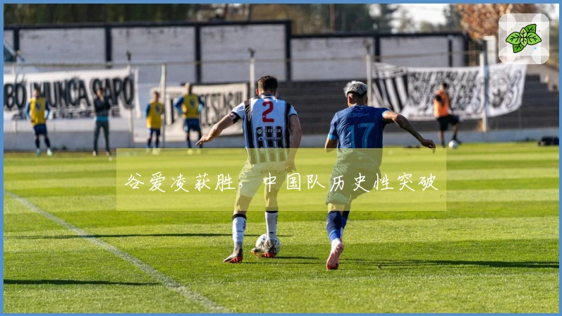 谷爱凌获胜，中国队历史性突破